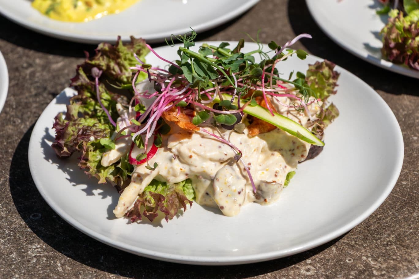 hønsesalat med peberbacon